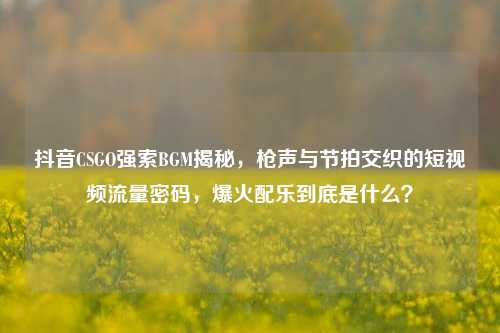 抖音CSGO强索BGM揭秘，枪声与节拍交织的短视频流量密码，爆火配乐到底是什么？