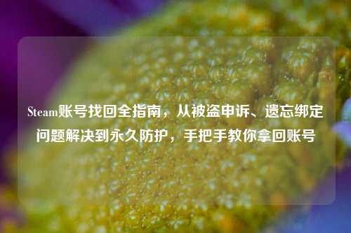 Steam账号找回全指南,从被盗申诉、遗忘绑定问题解决到永久防护,手把手教你拿回账号