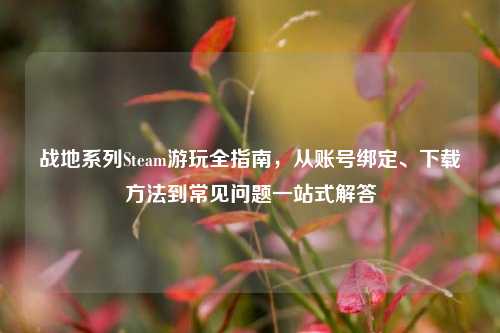 战地系列Steam游玩全指南，从账号绑定、下载方法到常见问题一站式解答