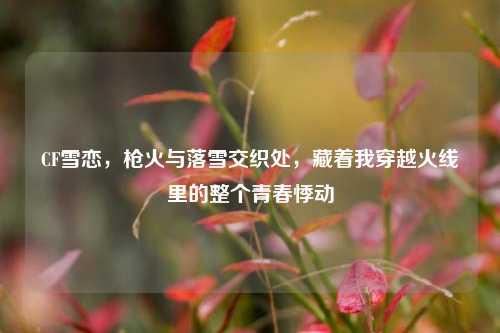 CF雪恋，枪火与落雪交织处，藏着我穿越火线里的整个青春悸动