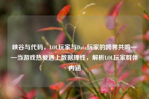 峡谷与代码,LOL玩家与Data玩家的跨界共鸣——当游戏热爱遇上数据理性,解析LOL玩家群体内涵