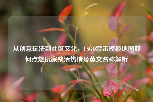 从创意玩法到社区文化，CSGO雷击模板地图如何点燃玩家整活热情及英文名称解析