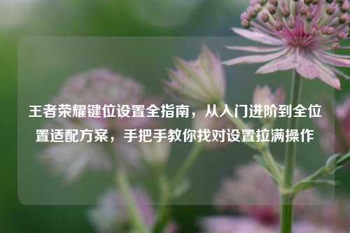 王者荣耀键位设置全指南,从入门进阶到全位置适配方案,手把手教你找对设置拉满操作