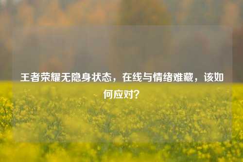 王者荣耀无隐身状态，在线与情绪难藏，该如何应对？