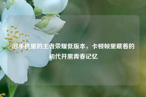 旧手机里的王者荣耀低版本,卡顿帧里藏着的初代开黑青春记忆