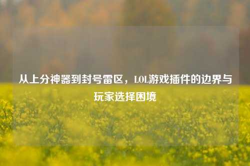 从上分神器到封号雷区,LOL游戏插件的边界与玩家选择困境