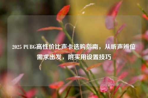 2025 PUBG高性价比声卡选购指南，从听声辨位需求出发，附实用设置技巧