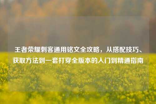 王者荣耀刺客通用铭文全攻略，从搭配技巧、获取方法到一套打穿全版本的入门到精通指南