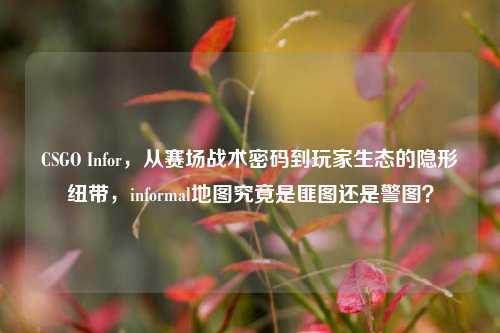 CSGO Infor,从赛场战术密码到玩家生态的隐形纽带,informal地图究竟是匪图还是警图?