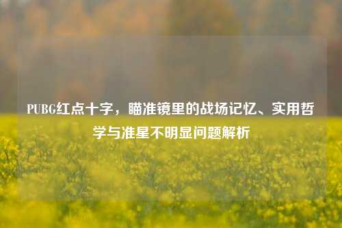 PUBG红点十字,瞄准镜里的战场记忆、实用哲学与准星不明显问题解析
