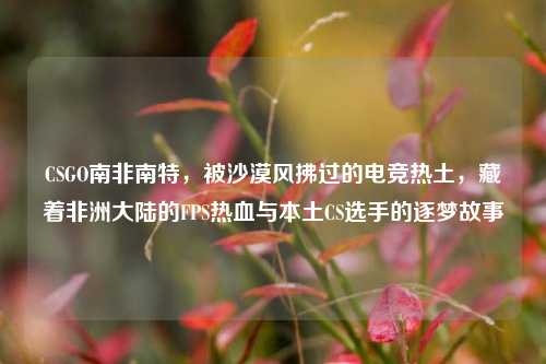 CSGO南非南特，被沙漠风拂过的电竞热土，藏着非洲大陆的FPS热血与本土CS选手的逐梦故事