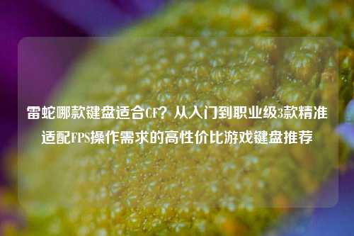 雷蛇哪款键盘适合CF？从入门到职业级3款精准适配FPS操作需求的高性价比游戏键盘推荐