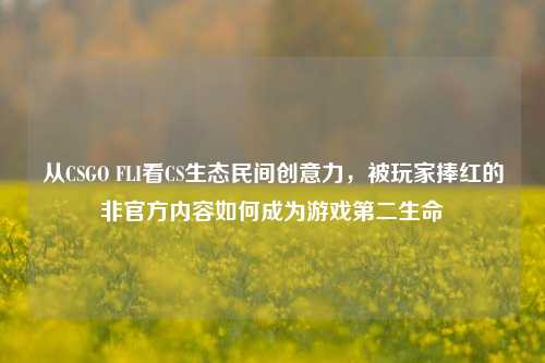 从CSGO FLI看CS生态民间创意力,被玩家捧红的非官方内容如何成为游戏第二生命