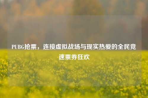 PUBG抢票,连接虚拟战场与现实热爱的全民竞速票券狂欢