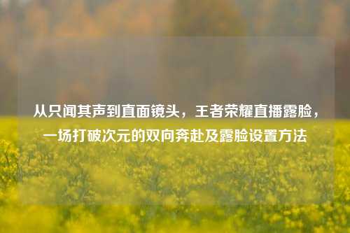 从只闻其声到直面镜头,王者荣耀直播露脸,一场打破次元的双向奔赴及露脸设置方法