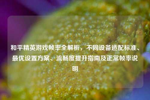和平精英游戏帧率全解析，不同设备适配标准、最优设置方案、流畅度提升指南及正常帧率说明