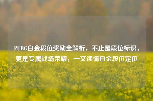 PUBG白金段位奖励全解析，不止是段位标识，更是专属战场荣耀，一文读懂白金段位定位
