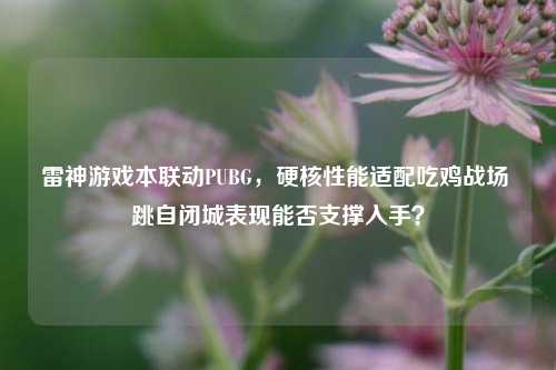 雷神游戏本联动PUBG，硬核性能适配吃鸡战场 跳自闭城表现能否支撑入手？