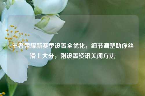 王者荣耀新赛季设置全优化，细节调整助你丝滑上大分，附设置资讯关闭方法