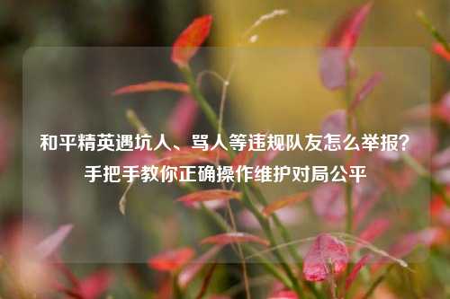 和平精英遇坑人、骂人等违规队友怎么举报？手把手教你正确操作维护对局公平