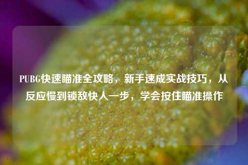 PUBG快速瞄准全攻略,新手速成实战技巧,从反应慢到锁敌快人一步,学会按住瞄准操作