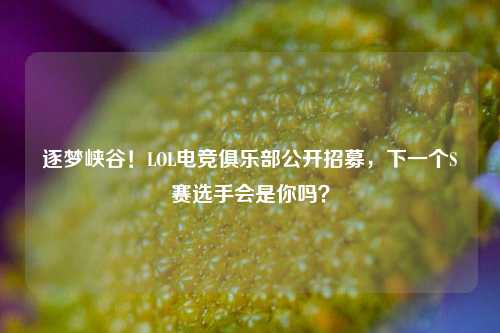 逐梦峡谷!LOL电竞俱乐部公开招募,下一个S赛选手会是你吗?