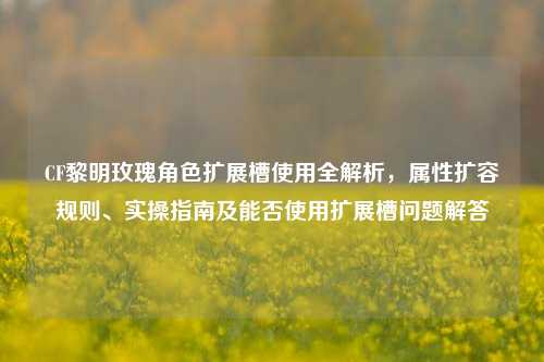 CF黎明玫瑰角色扩展槽使用全解析，属性扩容规则、实操指南及能否使用扩展槽问题解答