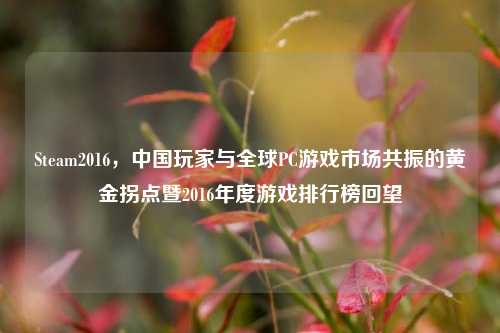 Steam2016,中国玩家与全球PC游戏市场共振的黄金拐点暨2016年度游戏排行榜回望