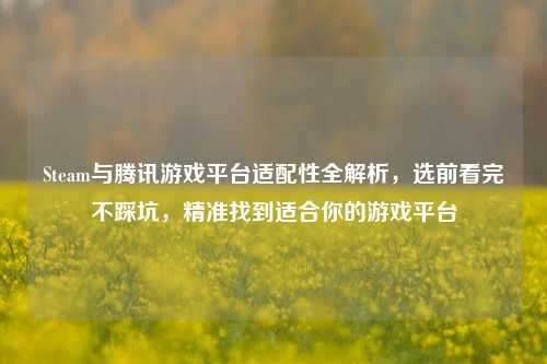 Steam与腾讯游戏平台适配性全解析，选前看完不踩坑，精准找到适合你的游戏平台