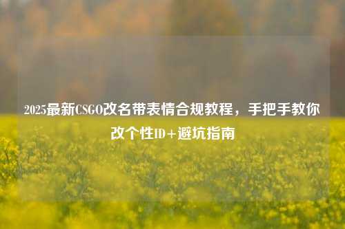2025最新CSGO改名带表情合规教程,手把手教你改个性ID+避坑指南
