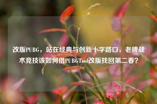 改版PUBG,站在经典与创新十字路口,老牌战术竞技该如何借PUBGTool改版找回第二春?