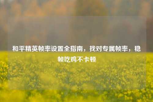 和平精英帧率设置全指南，找对专属帧率，稳帧吃鸡不卡顿