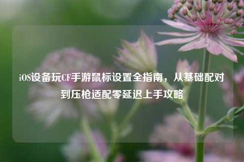iOS设备玩CF手游鼠标设置全指南,从基础配对到压枪适配零延迟上手攻略