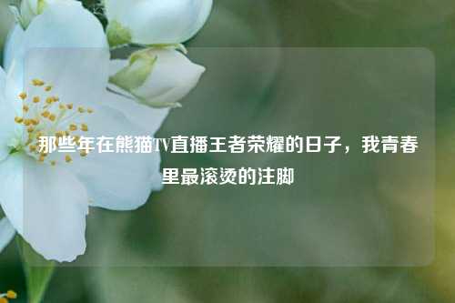 那些年在熊猫TV直播王者荣耀的日子，我青春里最滚烫的注脚