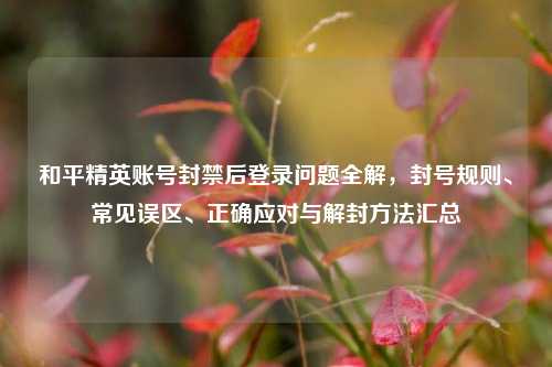 和平精英账号封禁后登录问题全解,封号规则、常见误区、正确应对与解封方法汇总