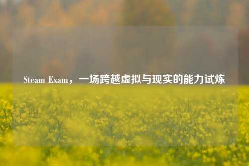 Steam Exam,一场跨越虚拟与现实的能力试炼