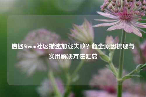 遭遇Steam社区描述加载失败？超全原因梳理与实用解决方法汇总