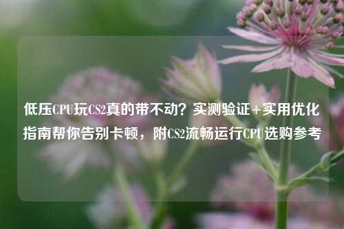 低压CPU玩CS2真的带不动？实测验证+实用优化指南帮你告别卡顿，附CS2流畅运行CPU选购参考