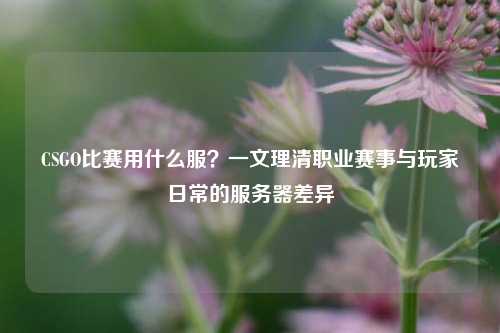 CSGO比赛用什么服?一文理清职业赛事与玩家日常的服务器差异