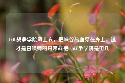 LOL战争学院风上衣，把峡谷热血穿在身上，这才是召唤师的日常战袍lol战争学院是电几