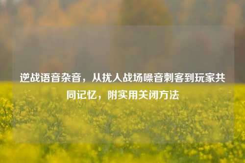 逆战语音杂音，从扰人战场噪音刺客到玩家共同记忆，附实用关闭方法