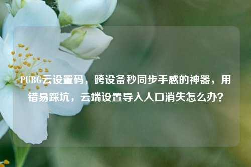 PUBG云设置码,跨设备秒同步手感的神器,用错易踩坑,云端设置导入入口消失怎么办?