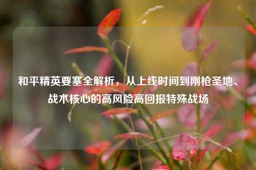 和平精英要塞全解析，从上线时间到刚枪圣地、战术核心的高风险高回报特殊战场