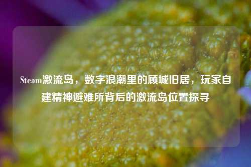 Steam激流岛，数字浪潮里的顾城旧居，玩家自建精神避难所背后的激流岛位置探寻