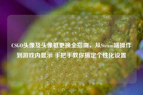 CSGO头像及头像框更换全指南，从Steam端操作到游戏内显示 手把手教你搞定个性化设置
