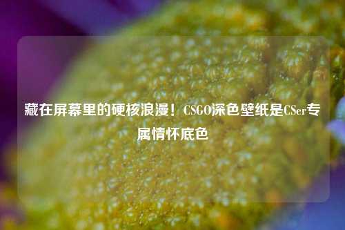 藏在屏幕里的硬核浪漫！CSGO深色壁纸是CSer专属情怀底色