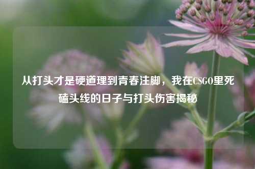 从打头才是硬道理到青春注脚，我在CSGO里死磕头线的日子与打头伤害揭秘