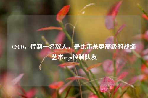 CSGO，控制一名敌人，是比击杀更高级的战场艺术csgo控制队友