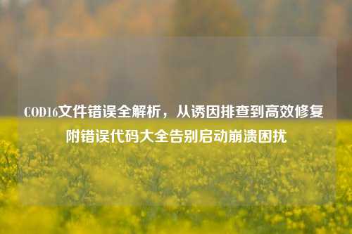 COD16文件错误全解析，从诱因排查到高效修复 附错误代码大全告别启动崩溃困扰