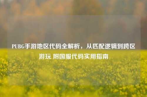 PUBG手游地区代码全解析，从匹配逻辑到跨区游玩 附国服代码实用指南